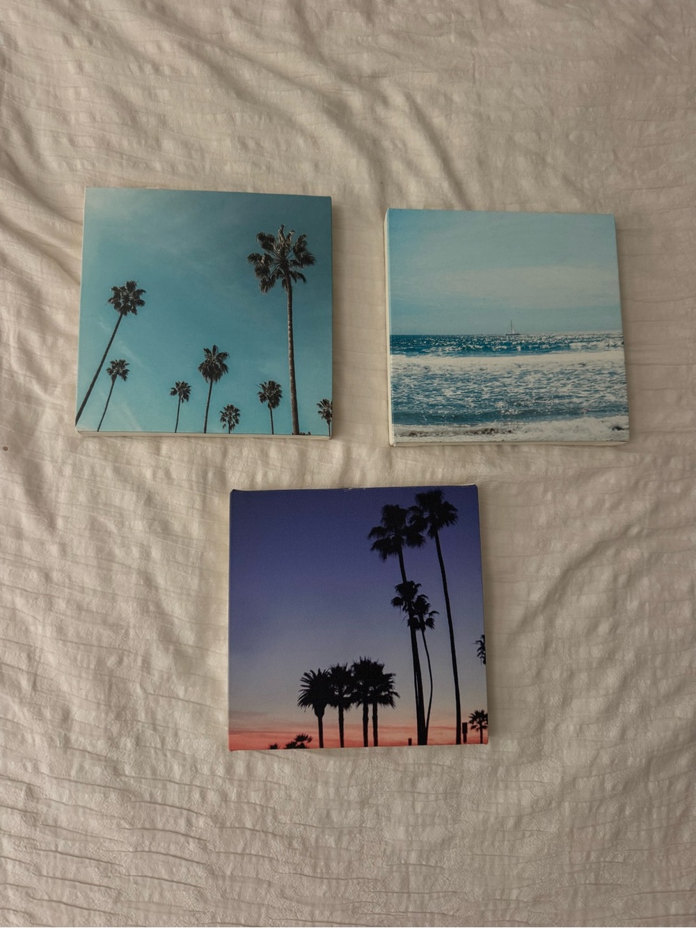 California Beachy Coastal Palm Canvas Wall Art Set